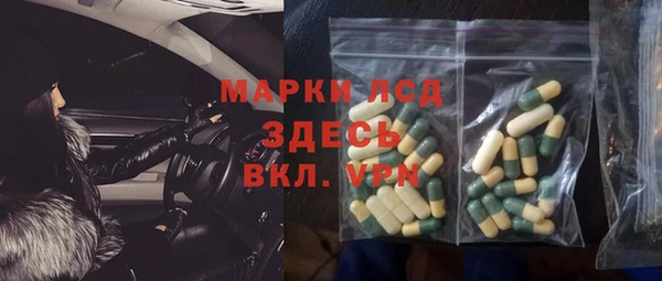 стаф Абинск
