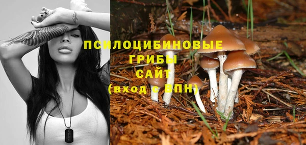 ECSTASY Михайловск